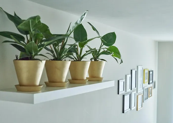 Apartamento Vibes Departament Cdmx México DF